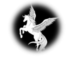 PEGASO - Accordo raggiunto